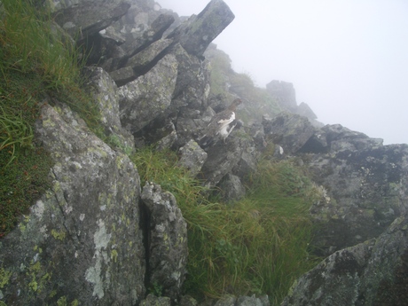 c0206177_8143353.jpg