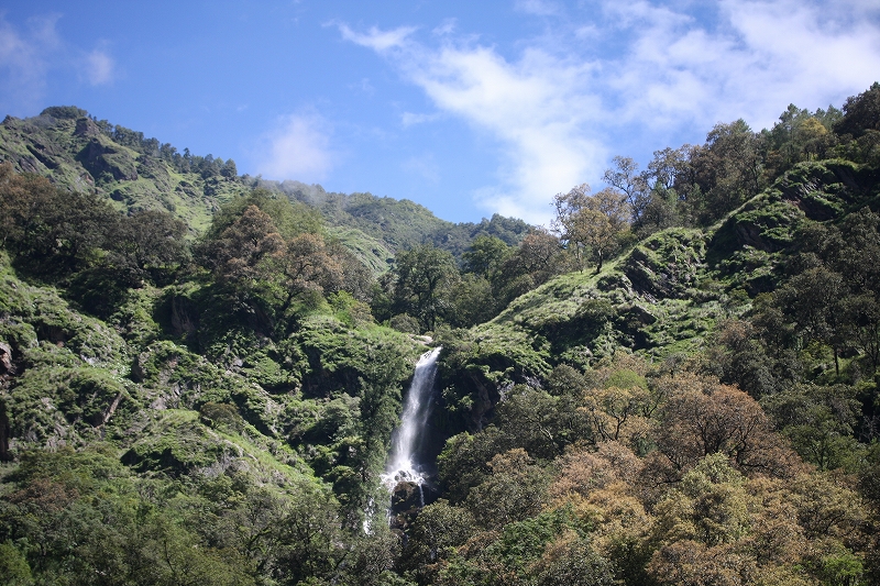 e0024081_94046.jpg