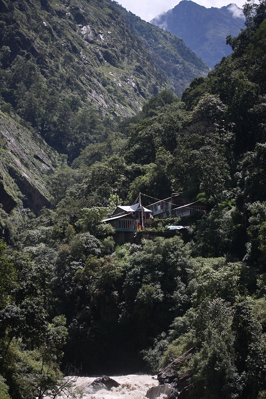 e0024081_97116.jpg
