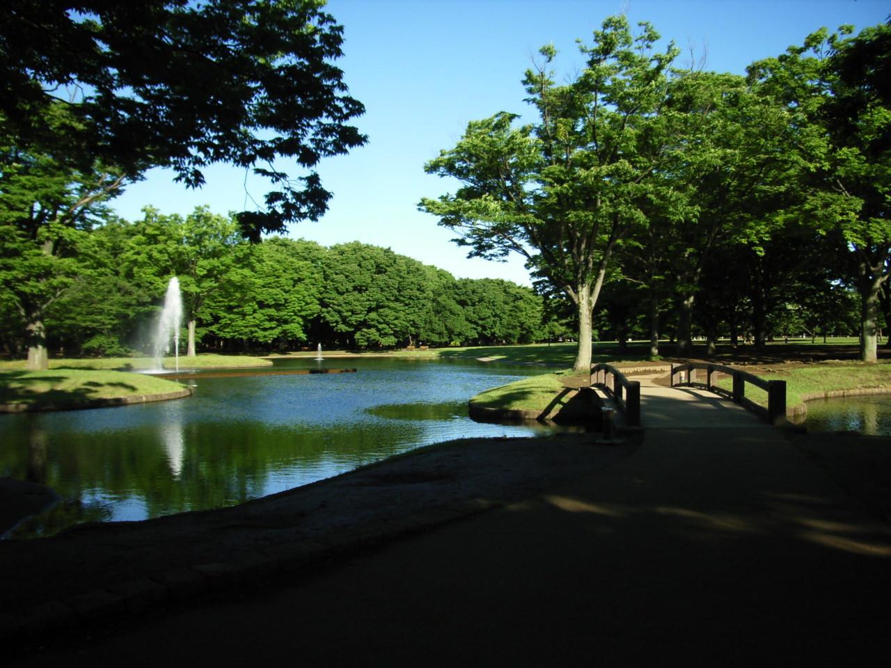代々木公園の噴水再び_e0188287_1224523.jpg