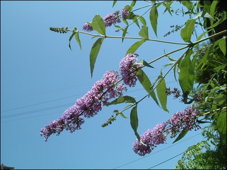 f0215591_0564432.jpg