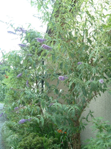 f0215591_0571495.jpg