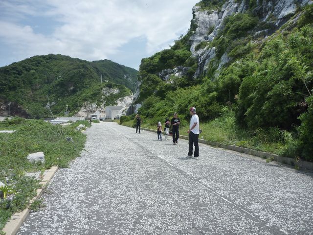 b0190092_20102974.jpg