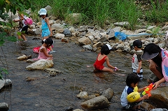b0166895_63007.jpg