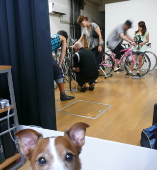 f0146198_1443359.jpg