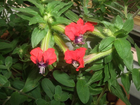 2010年・夏_f0153998_19494375.jpg