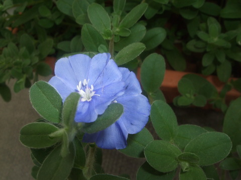 2010年・夏_f0153998_1950242.jpg