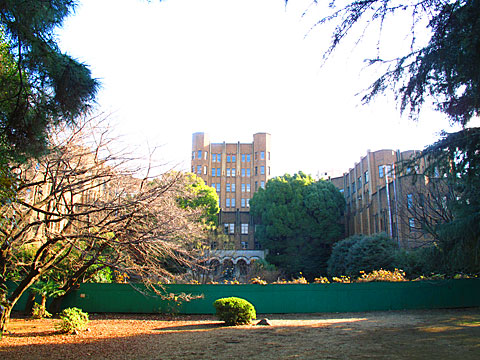 古川(渋谷川)白金三光町支流・再訪_c0163001_23261344.jpg