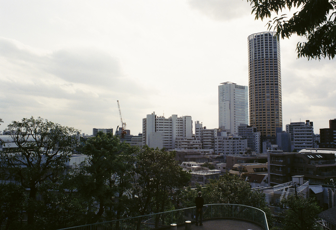 c0120903_1613940.jpg