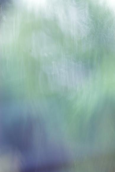 雨恋い_f0155808_8312549.jpg