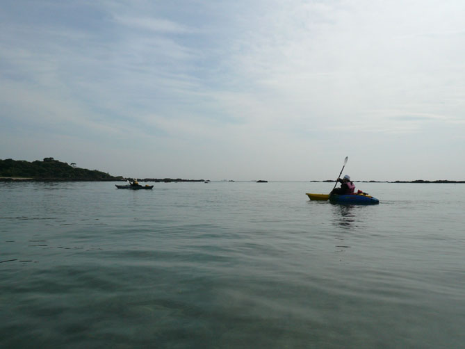 f0201310_11281389.jpg