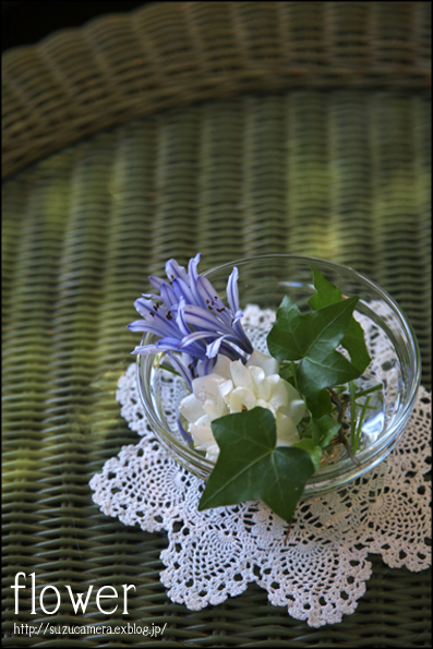 テーブルの花_f0100215_210479.jpg