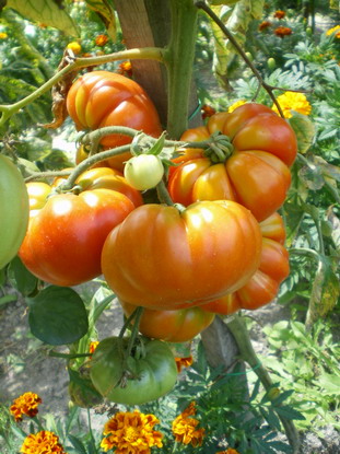 c0124619_361335.jpg