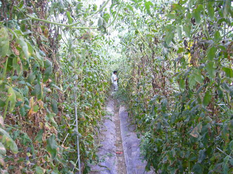 f0142721_22563679.jpg