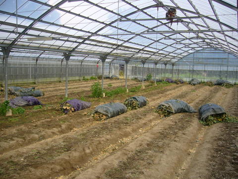 f0142721_22571731.jpg