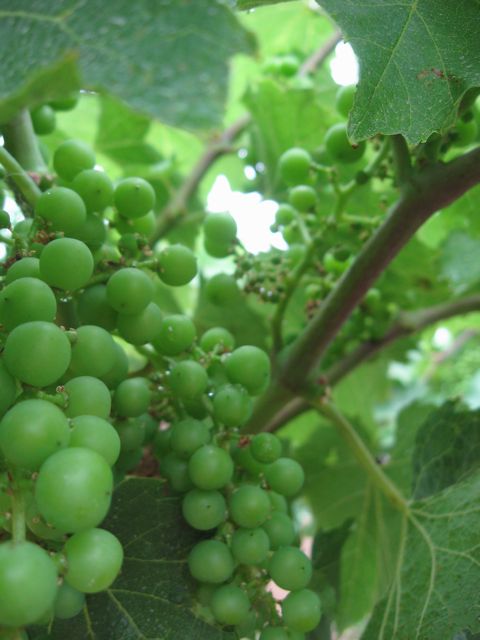 c0188527_21114940.jpg