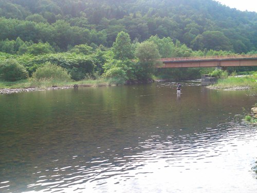e0173533_12151.jpg
