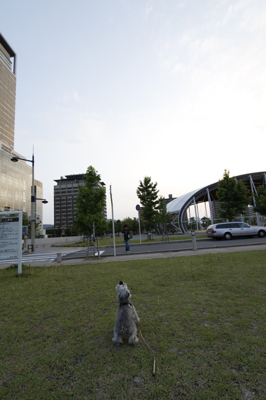 c0149339_3533234.jpg