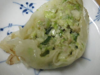 殆ど野菜だけの餃子研究_d0063149_22431120.jpg