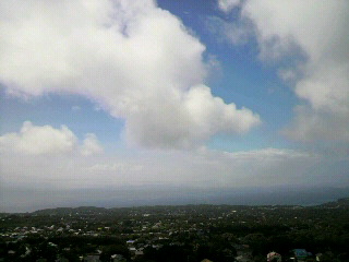 e0065350_92474.jpg