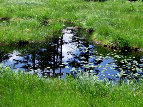 b0165760_15184776.jpg