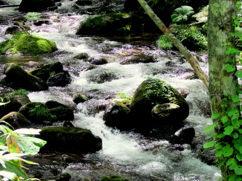b0165760_15522155.jpg