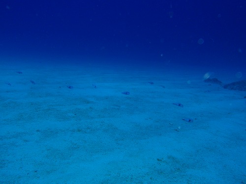 c0180460_1603641.jpg
