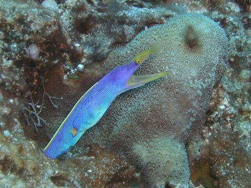 c0180460_1643653.jpg