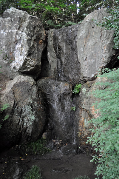 e0125762_003362.jpg