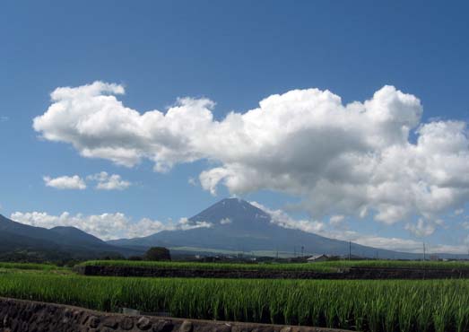 a0043263_18521437.jpg