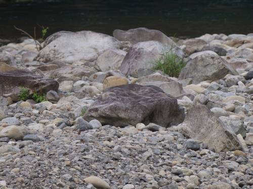 c0108863_22271167.jpg