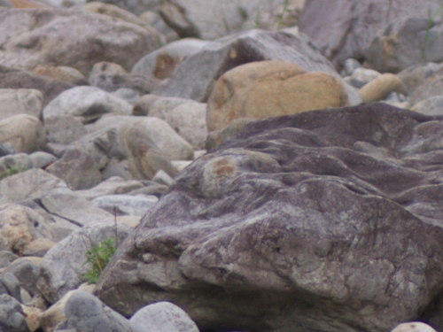 c0108863_2315127.jpg