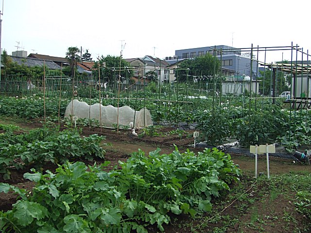 自由が丘の元祖モンブラン_a0015766_135924.jpg