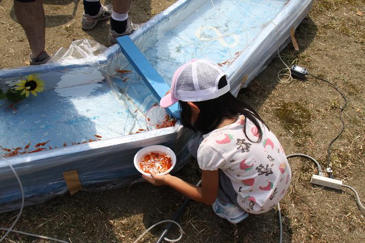 近江今津ふるさと夏祭り　やっさ！今津！！２０１０_b0105369_1646515.jpg