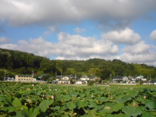 a0027774_22231280.jpg