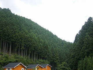 天川村にて_e0184075_2216211.jpg