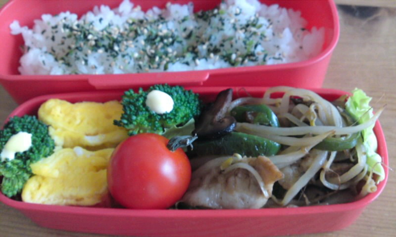 もやし炒め弁当_d0164479_905218.jpg