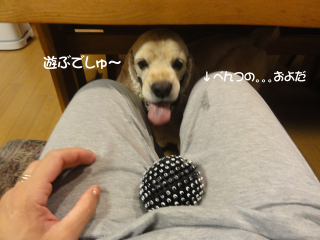 バリカン負けとまっくろくろすけとティッシュ みそらべんつののんびり生活 バリカン負けとまっくろくろすけとティッシュ みそらべんつののんびり生活