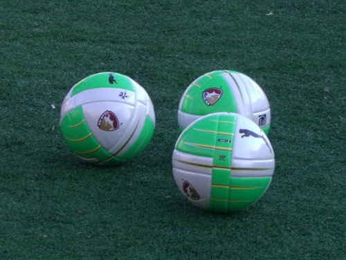 自己紹介 夢限大 スポーツ 国際 共育 ジェンダー