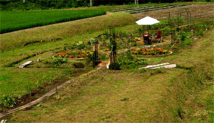 d0088788_21491370.jpg