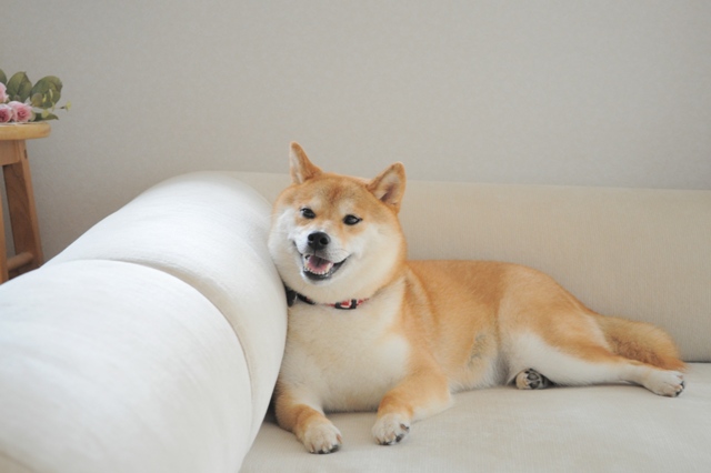 誰にも言わないでね!_a0126590_853445.jpg