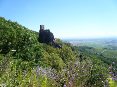 a0147890_1516321.jpg
