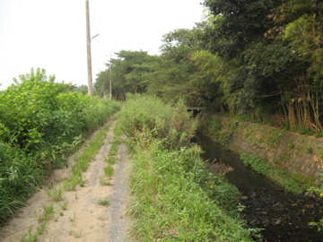 a0117599_03181.jpg