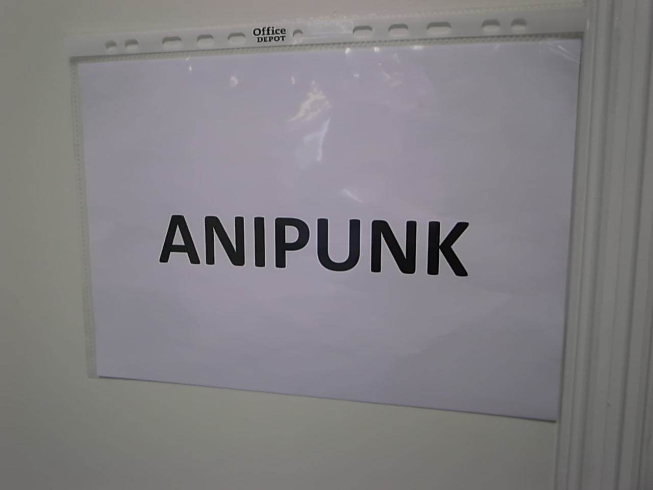 ANIPUNK in PARIS 〜6日目-1〜_a0097901_15293134.jpg
