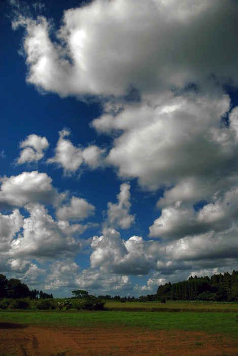c0127403_2018485.jpg