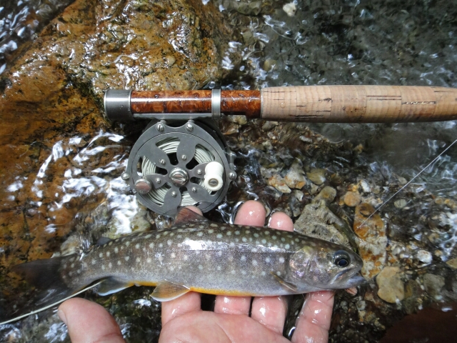 b0172805_8141627.jpg