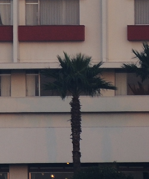 e0183106_17364539.jpg
