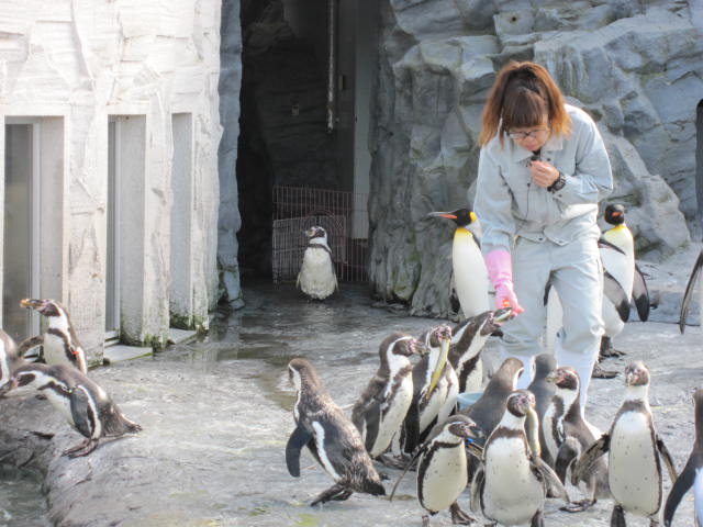 美瑛ポタ　in 北海道＾＾　その３_e0176711_22274610.jpg