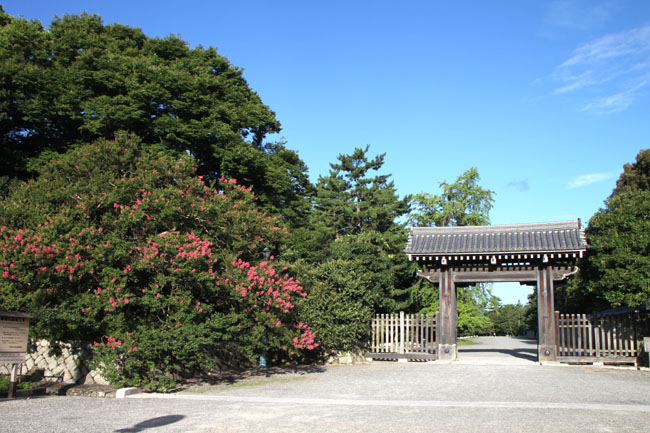 e0048413_17264624.jpg