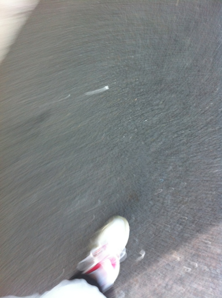 e0009714_8134639.jpg